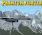 Phantom Fighter